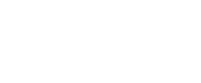 Zager Guitars Home
