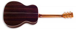 ZAD900 Solid Spruce/Rosewood Acoustic Smaller “OM” Size Pro Series