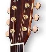 indian rosewood headstock
