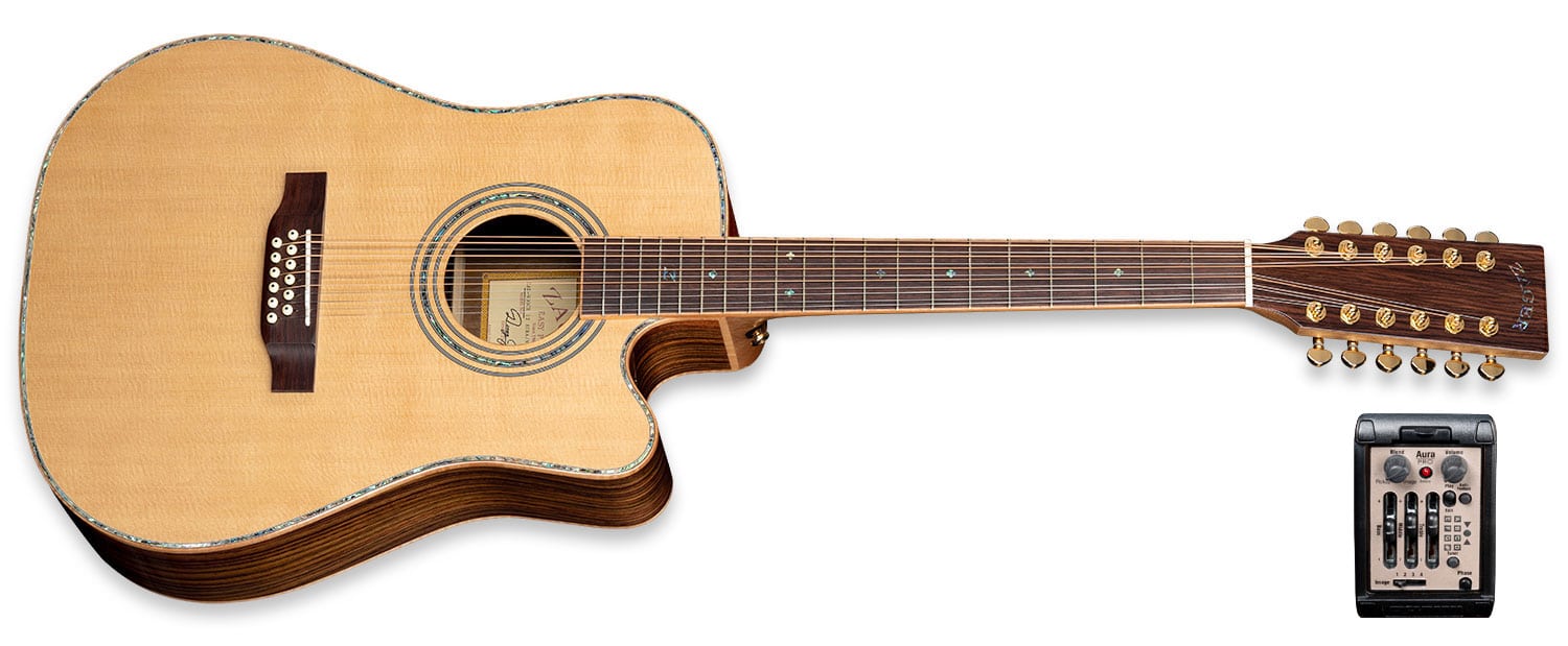ZAD 900 CE/N 12 String