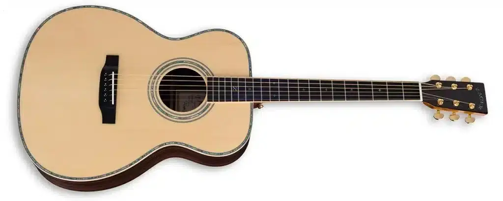 ZAD900 Solid Spruce/Rosewood Acoustic Smaller “OM” Size Pro Series