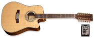 12 String ZAD 900 CE